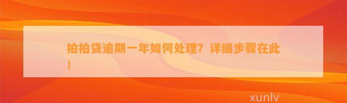 拍拍贷逾期一年如何处理？详细步骤在此！