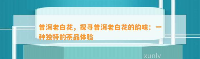 普洱老白花，探寻普洱老白花的韵味：一种特别的茶品体验