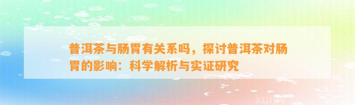 普洱茶与肠胃有关系吗，探讨普洱茶对肠胃的作用：科学解析与实证研究