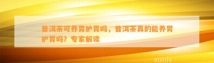 普洱茶可养胃护胃吗，普洱茶真的能养胃护胃吗？专家解读