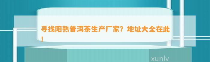 寻找阳熟普洱茶生产厂家？地址大全在此！