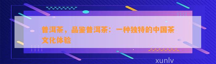 普洱茶，品鉴普洱茶：一种特别的中国茶文化体验