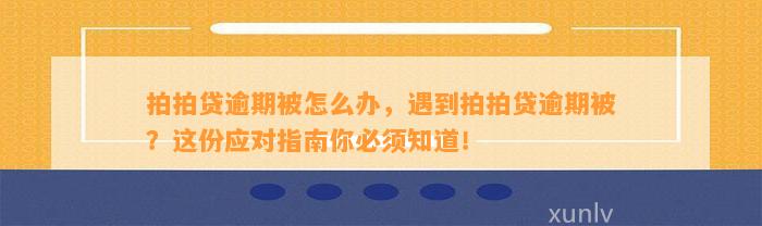 拍拍贷逾期被怎么办，遇到拍拍贷逾期被？这份应对指南你必须知道！