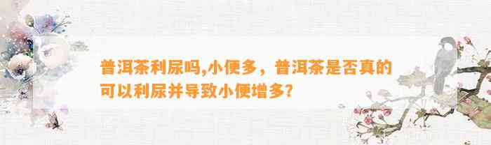 普洱茶利尿吗,小便多，普洱茶是不是真的可以利尿并引起小便增多？