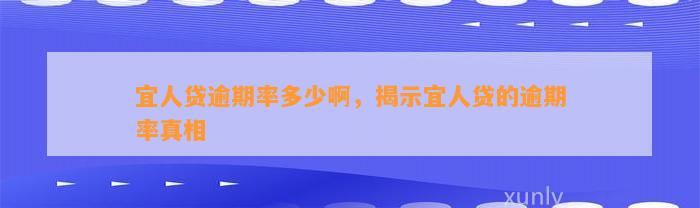 宜人贷逾期率多少啊，揭示宜人贷的逾期率真相