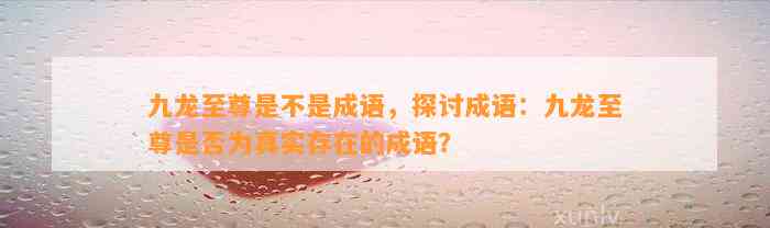 九龙至尊是不是成语，探讨成语：九龙至尊是不是为真实存在的成语？