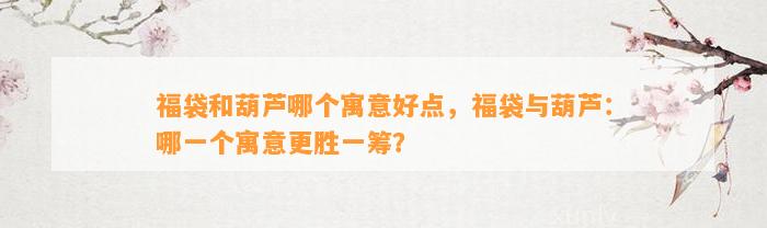 福袋和葫芦哪个寓意好点，福袋与葫芦：哪一个寓意更胜一筹？