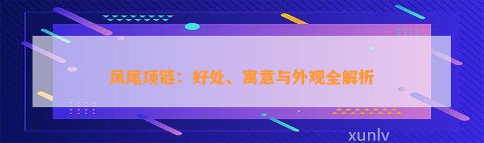 凤尾项链：好处、寓意与外观全解析