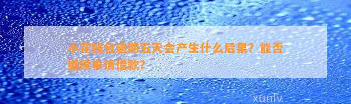 小花钱包逾期五天会产生什么后果？能否继续申请借款？