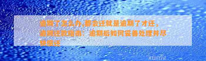 逾期了怎么办,都会还就是逾期了才还，逾期还款指南：逾期后如何妥善处理并尽快偿还