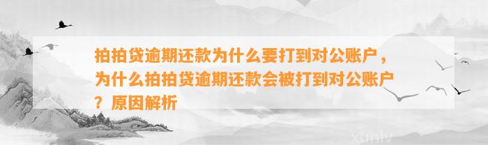 拍拍贷逾期还款为什么要打到对公账户，为什么拍拍贷逾期还款会被打到对公账户？原因解析