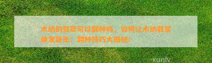 木纳的翡翠可以翻种吗，怎样让木纳翡翠焕发新生：翻种技巧大揭秘！