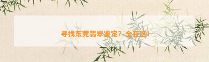 寻找东莞翡翠鉴定？全在这！