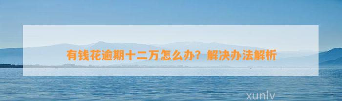 有钱花逾期十二万怎么办？解决办法解析