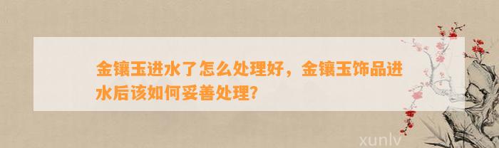 金镶玉进水了怎么解决好，金镶玉饰品进水后该怎样妥善解决？