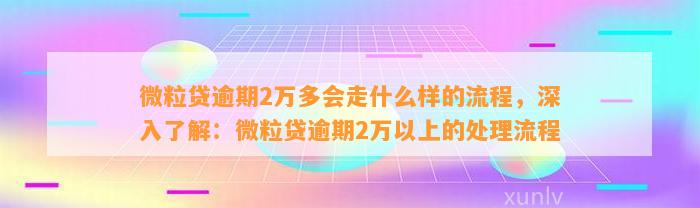 微粒贷逾期2万多会走什么样的流程，深入了解：微粒贷逾期2万以上的处理流程