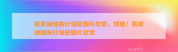 翡翠蝴蝶胸针镶嵌图片欣赏，惊艳！翡翠蝴蝶胸针镶嵌图片欣赏