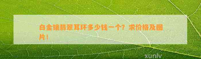 白金镶翡翠耳环多少钱一个？求价格及图片！