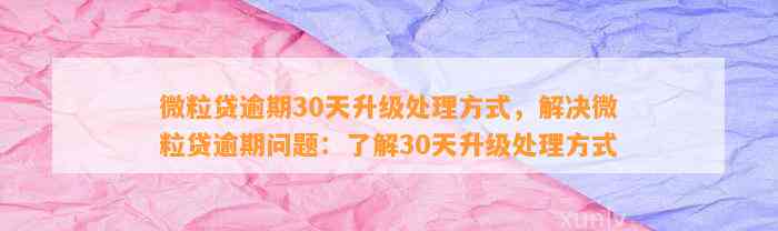 微粒贷逾期30天升级处理方式，解决微粒贷逾期问题：了解30天升级处理方式