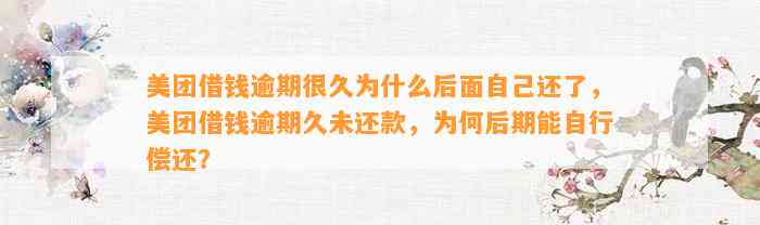 美团借钱逾期很久为什么后面自己还了，美团借钱逾期久未还款，为何后期能自行偿还？