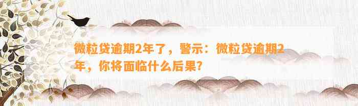 微粒贷逾期2年了，警示：微粒贷逾期2年，你将面临什么后果？