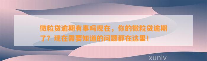 微粒贷逾期有事吗现在，你的微粒贷逾期了？现在需要知道的问题都在这里！