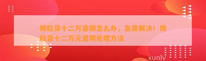 微粒贷十二万逾期怎么办，急需解决！微粒贷十二万元逾期处理方法