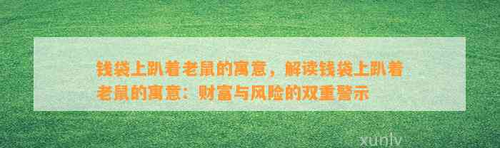 钱袋上趴着老鼠的寓意，解读钱袋上趴着老鼠的寓意：财富与风险的双重警示