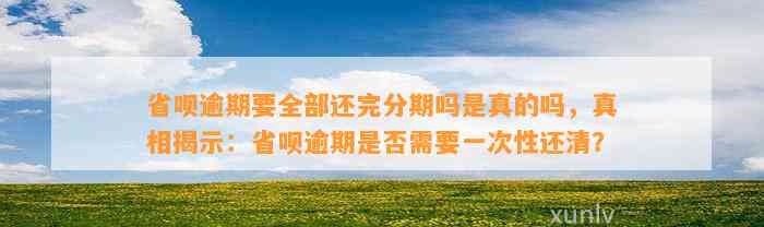 省呗逾期要全部还完分期吗是真的吗，真相揭示：省呗逾期是否需要一次性还清？