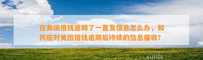 在美团借钱逾期了一直发信息怎么办，如何应对美团借钱逾期后持续的信息催收？