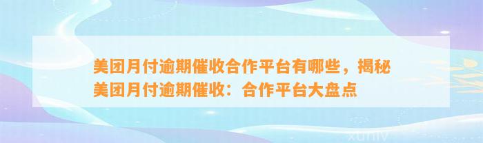 美团月付逾期催收合作平台有哪些，揭秘美团月付逾期催收：合作平台大盘点