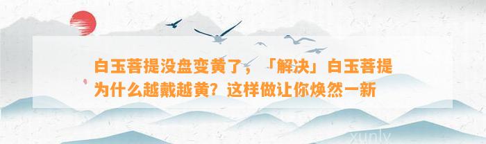 白玉菩提没盘变黄了，「解决」白玉菩提为什么越戴越黄？这样做让你焕然一新