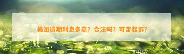 美团逾期利息多高？合法吗？可否起诉？