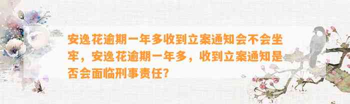 安逸花逾期一年多收到立案通知会不会坐牢，安逸花逾期一年多，收到立案通知是否会面临刑事责任？