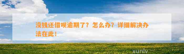 没钱还借呗逾期了？怎么办？详细解决办法在此！