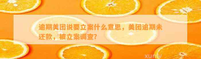 逾期美团说要立案什么意思，美团逾期未还款，被立案调查？