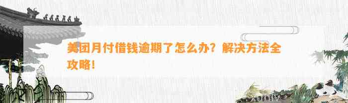 美团月付借钱逾期了怎么办？解决方法全攻略！