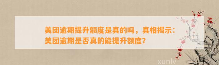 美团逾期提升额度是真的吗，真相揭示：美团逾期是否真的能提升额度？