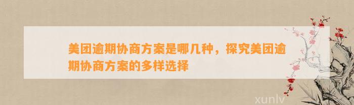 美团逾期协商方案是哪几种，探究美团逾期协商方案的多样选择