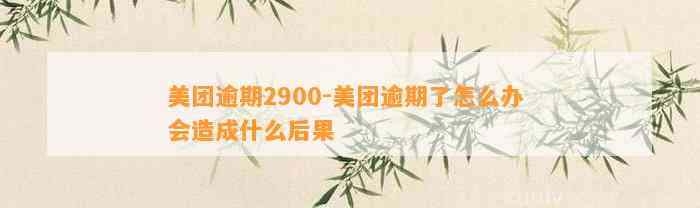 美团逾期2900-美团逾期了怎么办 会造成什么后果