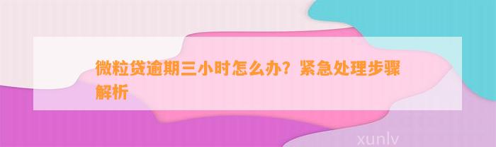 微粒贷逾期三小时怎么办？紧急处理步骤解析