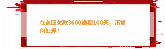 在美团欠款3600逾期100天，该如何处理？