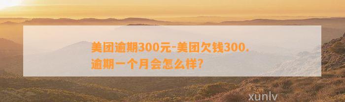 美团逾期300元-美团欠钱300. 逾期一个月会怎么样?