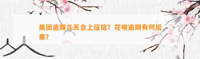 美团逾期几天会上征信？花呗逾期有何后果？