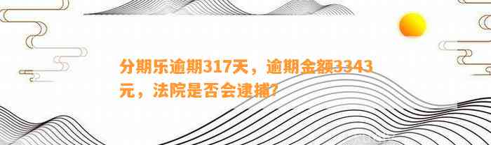 分期乐逾期317天，逾期金额3343元，法院是否会逮捕？