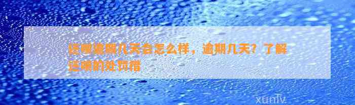 还呗逾期几天会怎么样，逾期几天？了解还呗的处罚措