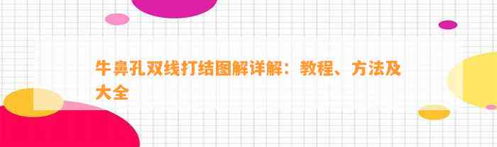 牛鼻孔双线打结图解详解：教程、方法及大全