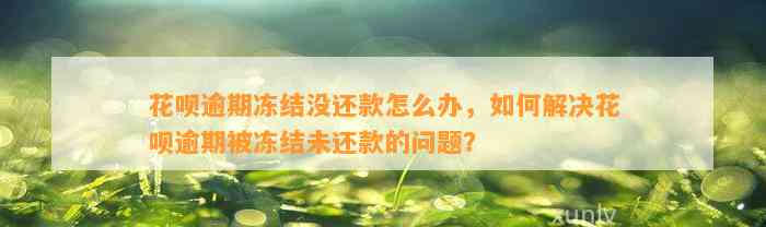 花呗逾期冻结没还款怎么办，如何解决花呗逾期被冻结未还款的问题？