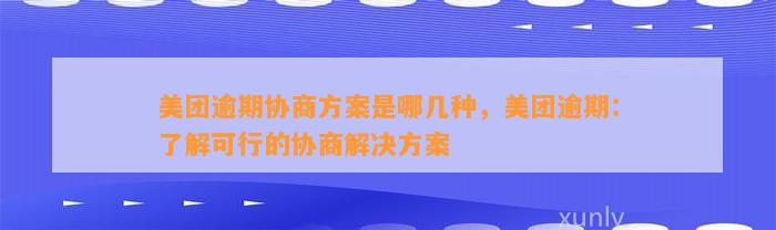 美团逾期协商方案是哪几种，美团逾期：了解可行的协商解决方案