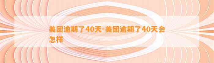 美团逾期了40天-美团逾期了40天会怎样